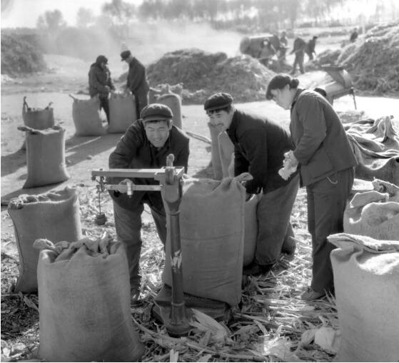 宝马bm1122线路顶级(中国游)有限公司官网